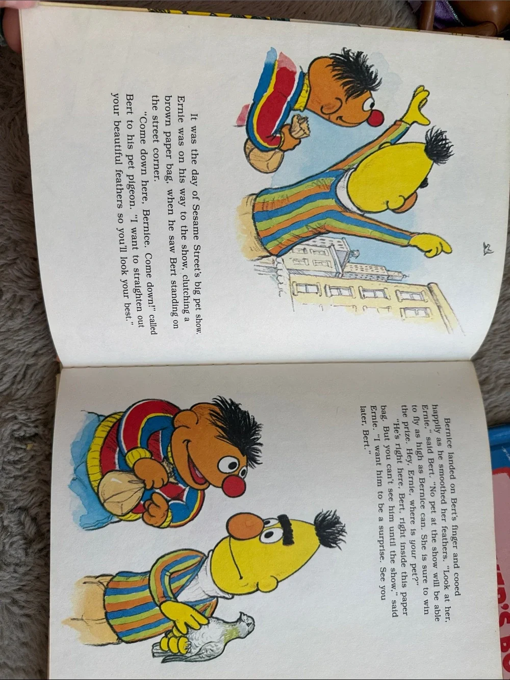Vintage 1980 The Sesame Street Pet Show Storybook Hardcover Picture Book & Bonus
